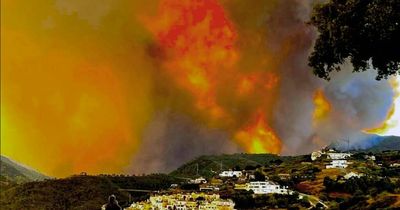Costa del Sol wildfires: Thousands ordered to leave homes as blaze rips through Spain