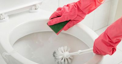 Mrs Hinch fan shares quick and easy 38p hack for cleaning your toilet brush