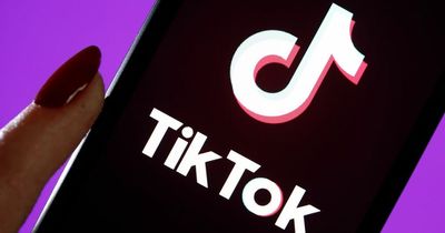 TikTok to bring in screen time warning to support users' 'digital wellbeing'
