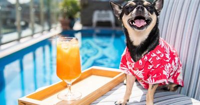 Win one of five pet-friendly UK breaks