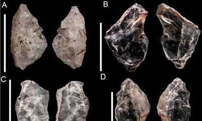 65,000 year-old ‘Swiss Army knife’ proves ancient humans shared knowledge, research says