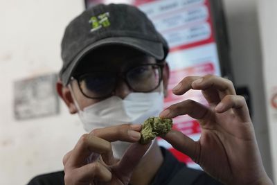 Thailand legalises growing cannabis and eases consumption rules
