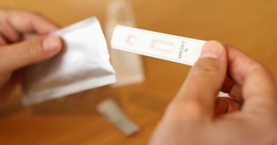 Unions call for return of free covid tests in schools