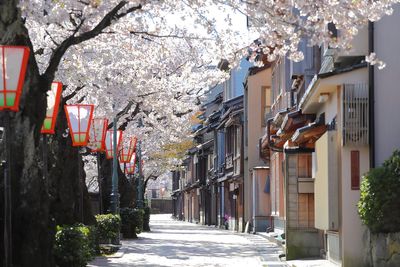 The best Japanese destination swaps