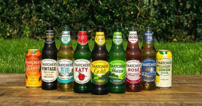 Thatchers Cider profits and market share up in year hit by Covid