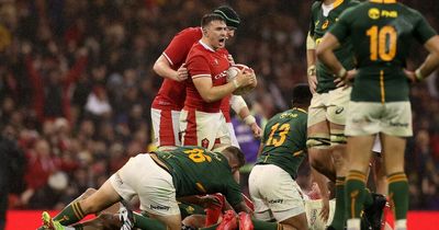 'Wales are utter rubbish!' South Africa's coach taken to task for being too nice about Wayne Pivac's team