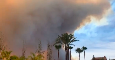 Spain holidays: 'Apocalyptic smoke' sees some tourists evacuated as huge fire rages on