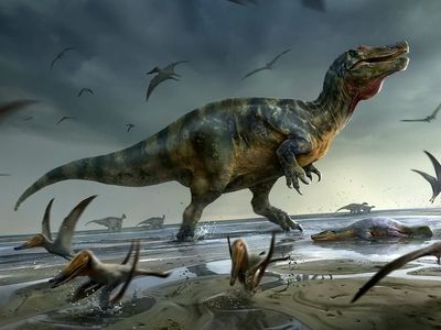 Remains of Europe’s largest ever land predator dinosaur found on Isle of Wight