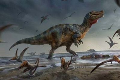 32ft dinosaur found on Isle of Wight was Europe’s largest hunter