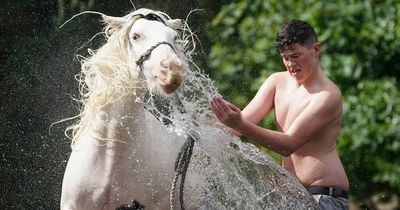 Appleby Horse Fair kicks off as thousands of travellers arrive for historic festival