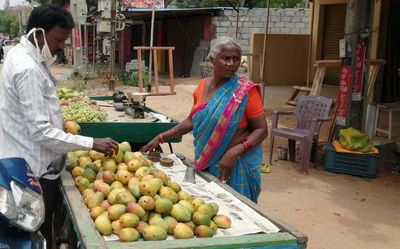 Mango farmers in Chittoor feel betrayed by the vagaries of nature