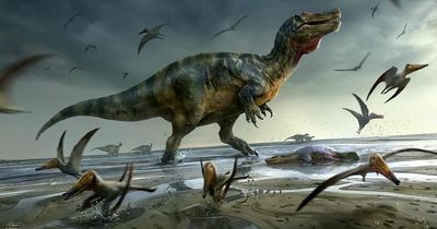 Dinosaur found on Isle of Wight could be biggest predator ever to roam Europe