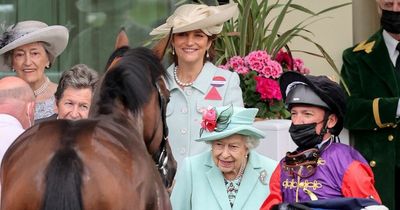 Queen's "great" wisdom into horse fitness proves depth of knowledge as owner