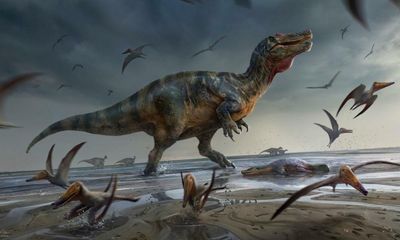 Bones found on Isle of Wight may be from Europe’s biggest predator dinosaur