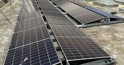 Flat roofs across Swansea could be covered with solar panels to generate green energy