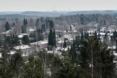 Finland plans to build barriers on its border with Russia