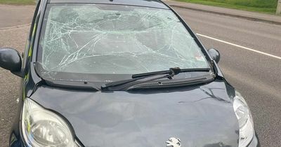 Police pull over driver after being caught on A96 with cracked windscreen