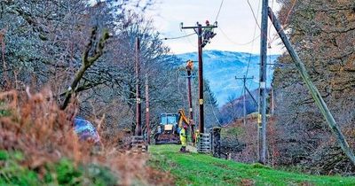 Electricity firms must ‘up their game’ following Storm Arwen
