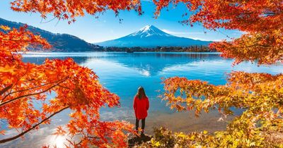 Japan travel restrictions eased but there are some tough new rules for overseas visitors