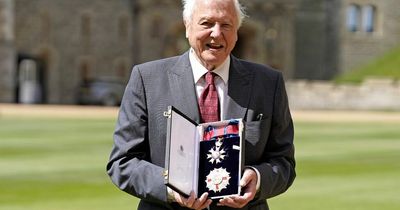 What is a Knight Grand Cross as David Attenborough receives second knighthood