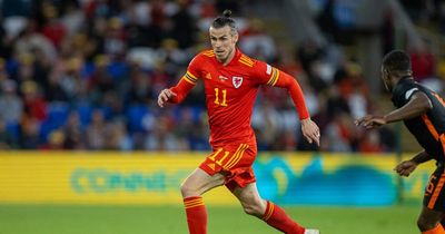 Cardiff City transfer news as FAW chief backs Gareth Bale move and new signing reveals why he chose Bluebirds