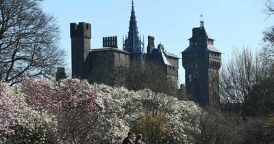 Diana Ross in Cardiff 2022: List of banned items from the Cardiff Castle gig