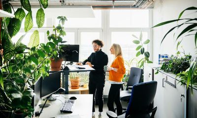 From attracting investors to tax breaks: five ways going green will boost your business