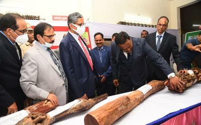 Andhra Pradesh: CJI inaugurates special courts for red sanders cases in Tirupati