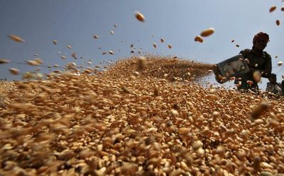 Is the ban on wheat exports good policy? | The Hindu Parley podcast
