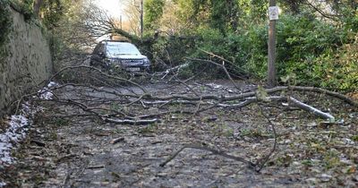 North East MPs react to 'damning' and 'revealing' report into Powergrid response to Storm Arwen