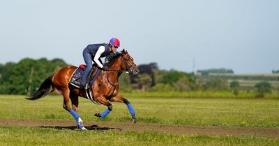 Royal Ascot 2022: Spendarella thriving as she joins 'banker' Golden Pal on American team