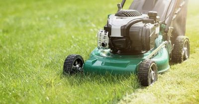 'My neighbour demands I let her son mow my lawn - he's charging €14 a week'