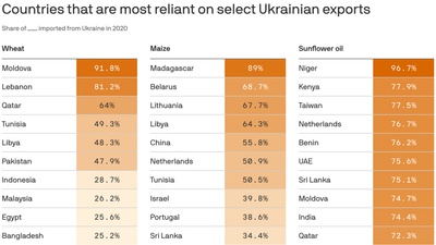 Russia's blockade of Ukraine's grain hits countries around the world