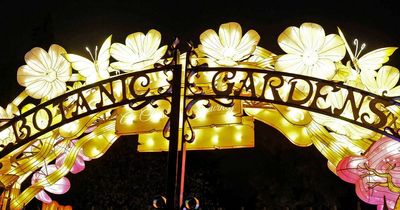 Belfast Council told it has "lost the trust" of Botanic residents over Bright Lights park event