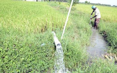 Groundwater irrigation, a game-changer for agriculture in T.N.