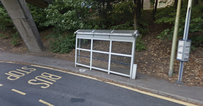 Thug stabbed stranger he wrongly believed was hassling two girls with broken bottle
