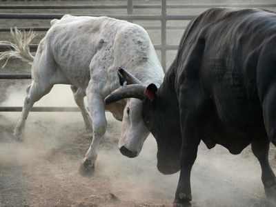 Here's Why More Pain Looks Likely For Tilray Bulls