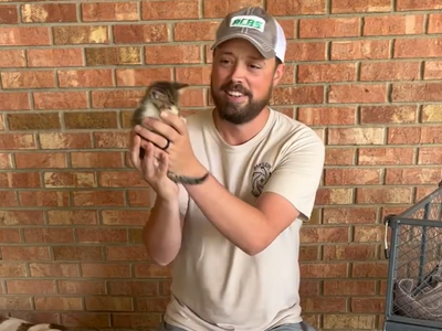 This Louisiana man thought he was rescuing one kitten — then 12 more appeared