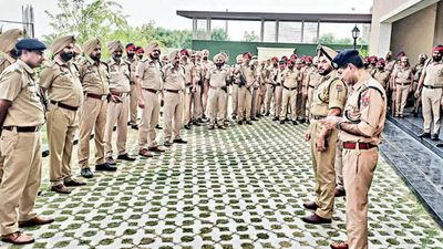 Housing societies in Mohali searched, arms, opium found