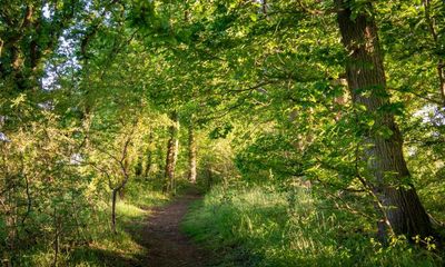 A great walk to a great pub: The Tyler’s Kiln, Canterbury, Kent