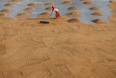 Why India holds the key to global rice market outlook