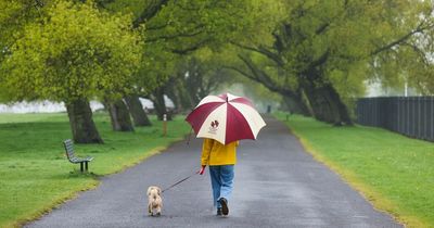 Liverpool weather: Unseasonably wet and windy in the days to come