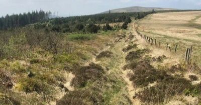 The ancient road found in a Welsh beauty spot that could rewrite history of Wales