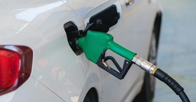 AA urges people to stop using cars as petrol goes up more than 7p