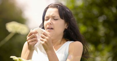 'Super pollen' to strike Britain this weekend as experts share hay fever survival tips