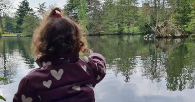 Go bird spotting like 21 month old Reeva for 30 Days Wild challenge this June