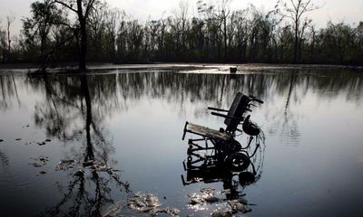 Disabled people being ‘systematically ignored’ on climate crisis, says study