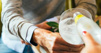 Experts reveal exact formula for perfect G&T ahead of World Gin Day