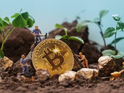 How Bitcoin Miners Are Helping Texas Tackle The Heat Wave