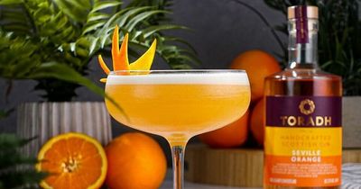 Aldi announces new Scottish-inspired premium gin ahead of World Gin Day